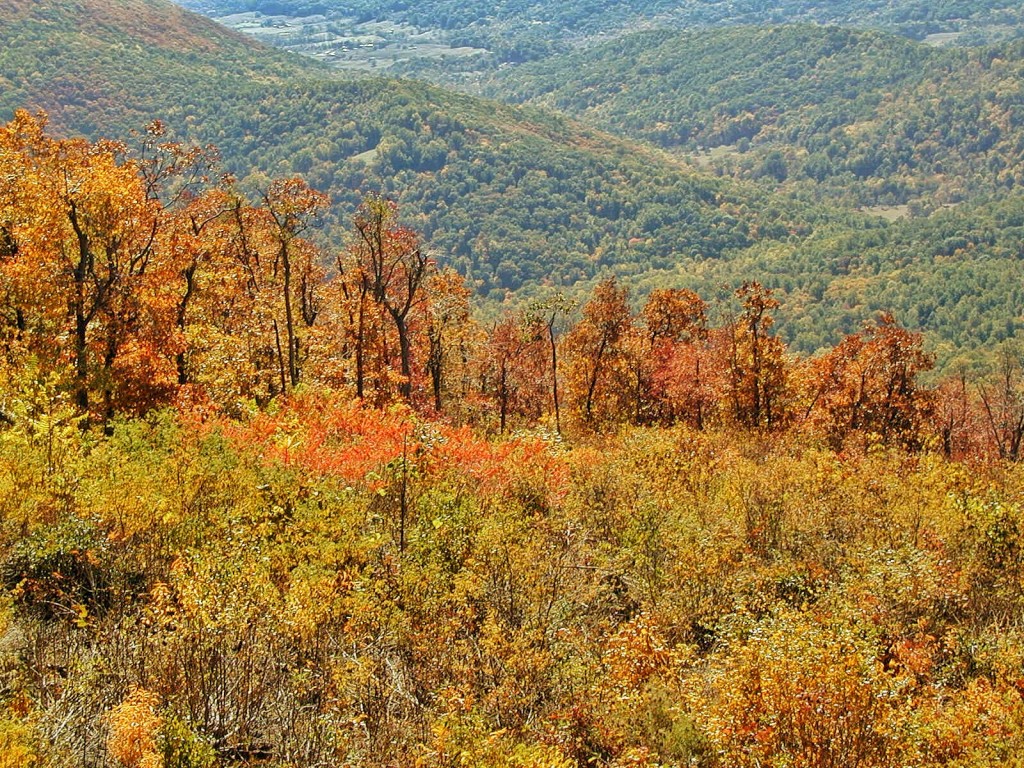 And the Mountains Echoed: Shenandoah Valley