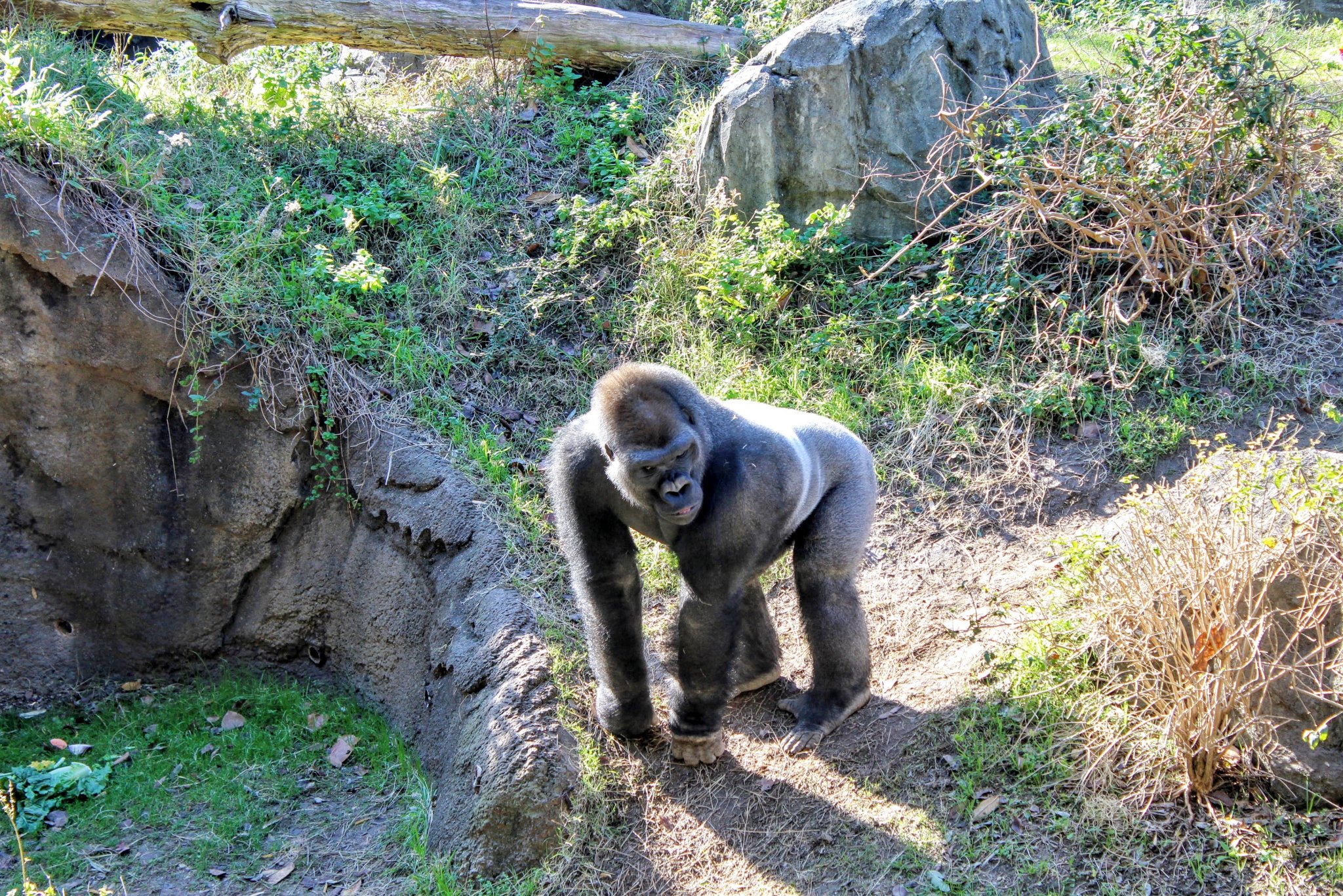 Best Zoos in the USA - Passport to Eden's US Zoo Guide