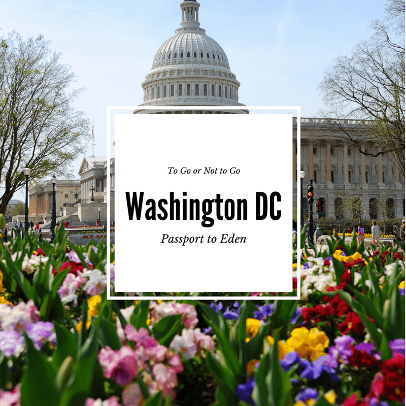 Best Time To Visit Washington DC - Passport To Eden