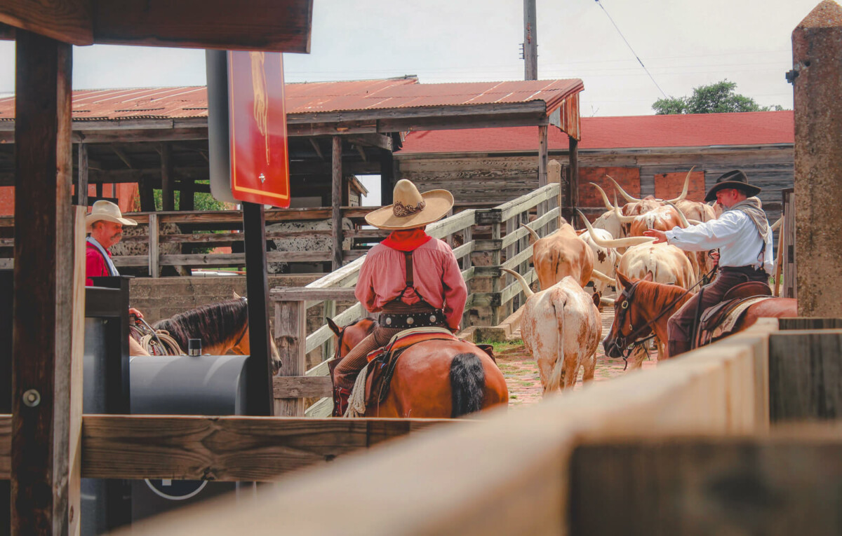 11 Unique Things To Do At The Fort Worth Stockyards