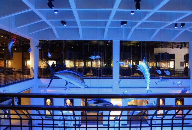 10 Gene Kelly Worthy Things To Do In Houston When It Rains - Passport ...