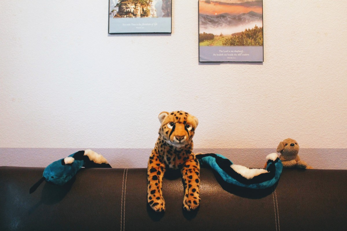 Stuffed animals are one of the cutest souvenirs to collect while traveling.