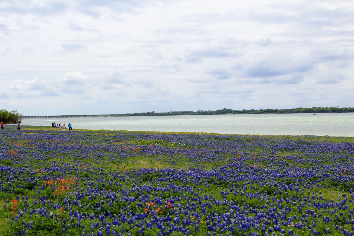 23 Best Small Towns In Texas That You Need To Visit | Passport To Eden