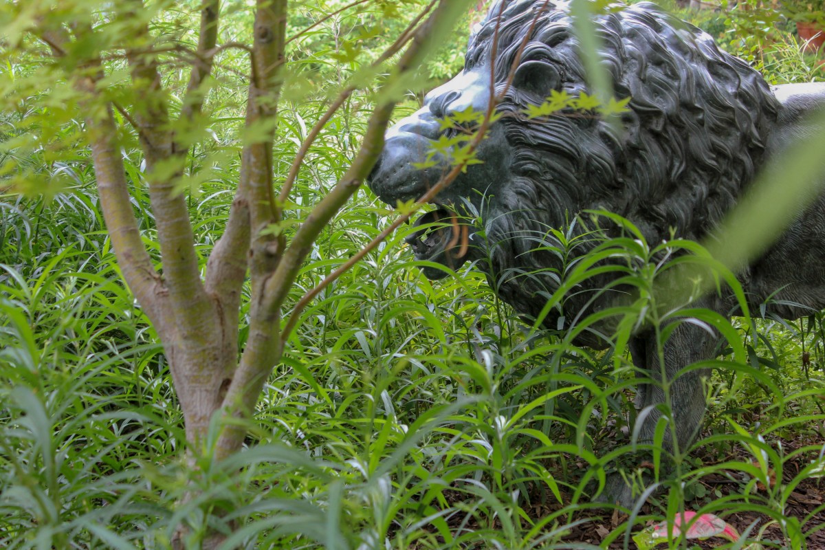 Lion statue in Dragon Park Dallas