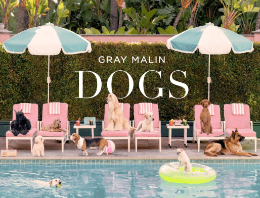 Dogs by Gray Malin book cover