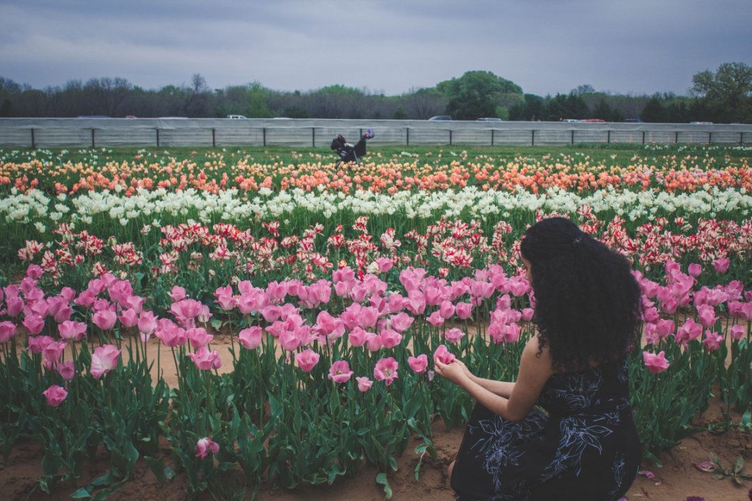 The Prettiest Tulip Farm In Texas Passport To Eden