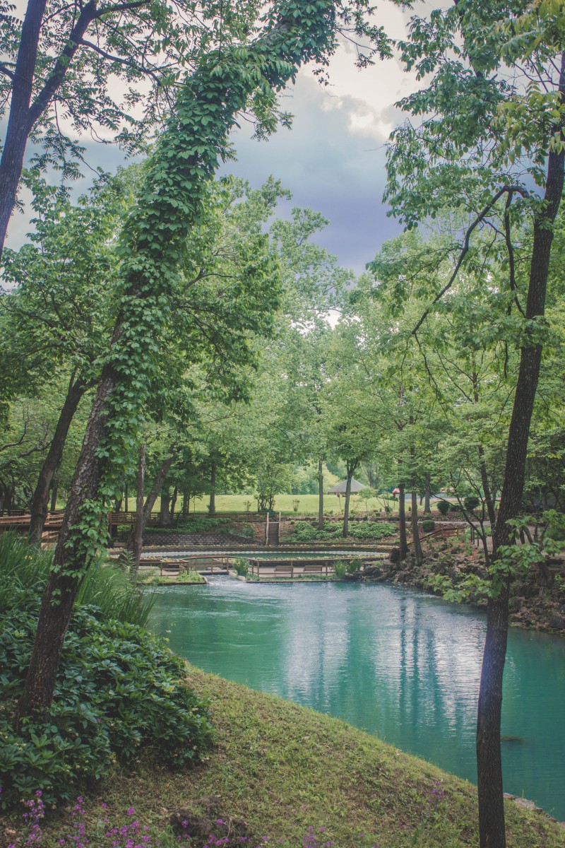 Actual Blue Spring in Arkansas shown from the viewpoint of the lagoon. You can see the rough shape of the circular spring and in the distance, the trail of tears. 