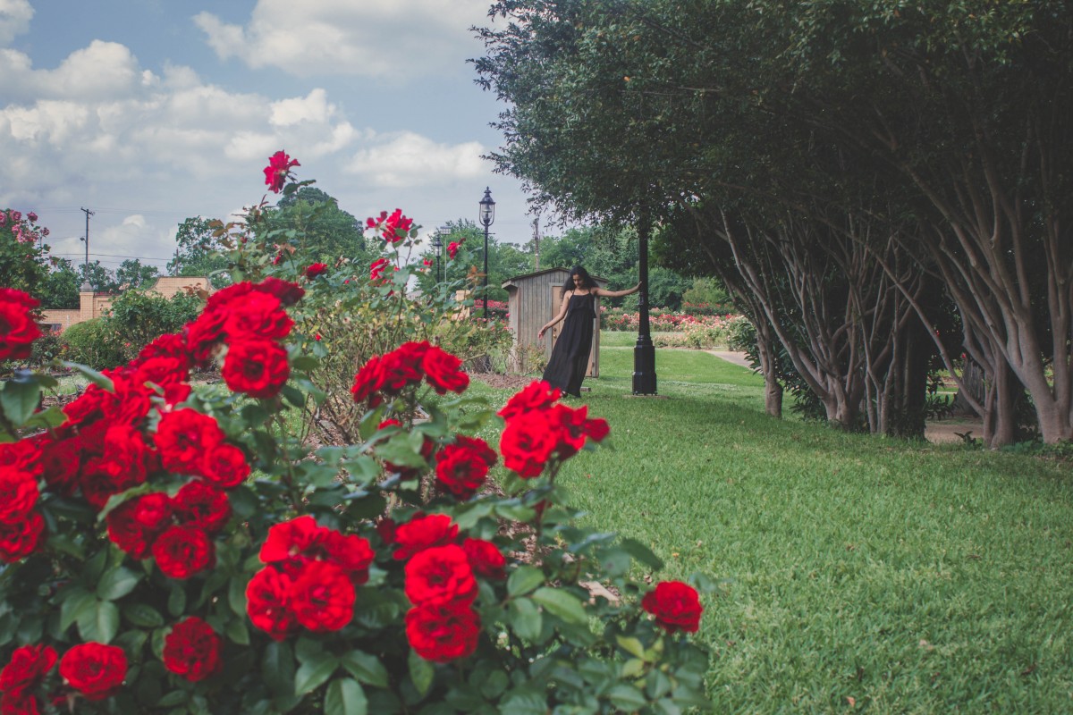 A Guide To Visiting The Tyler Rose Garden