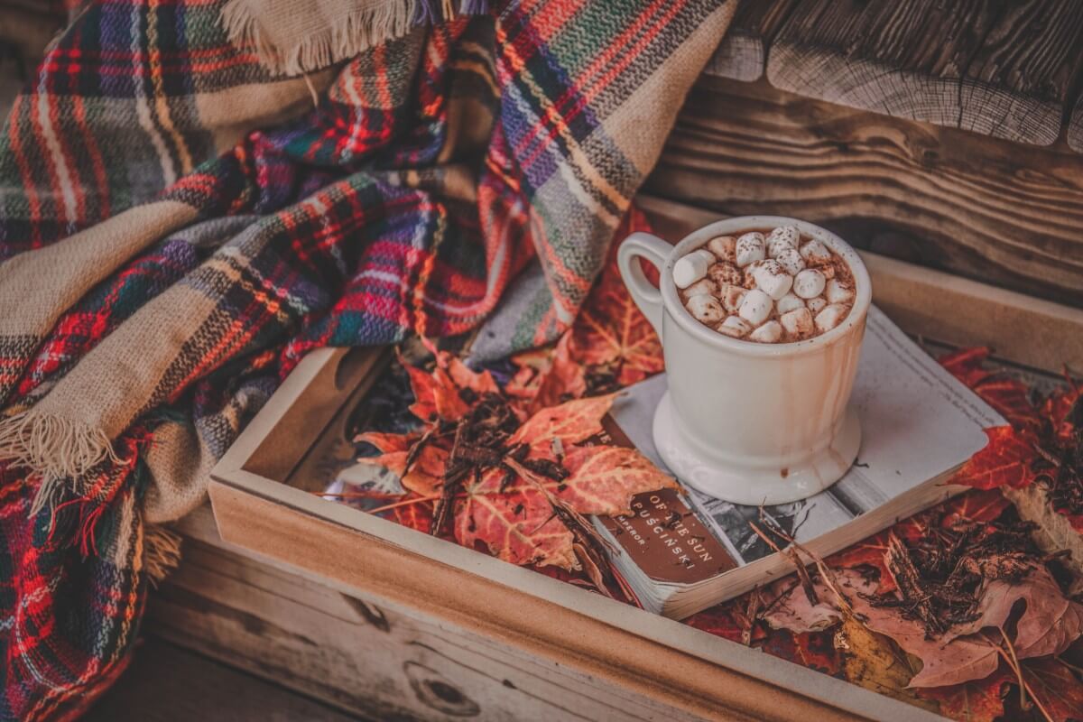 7 Cozy Southern Coffee Table Books