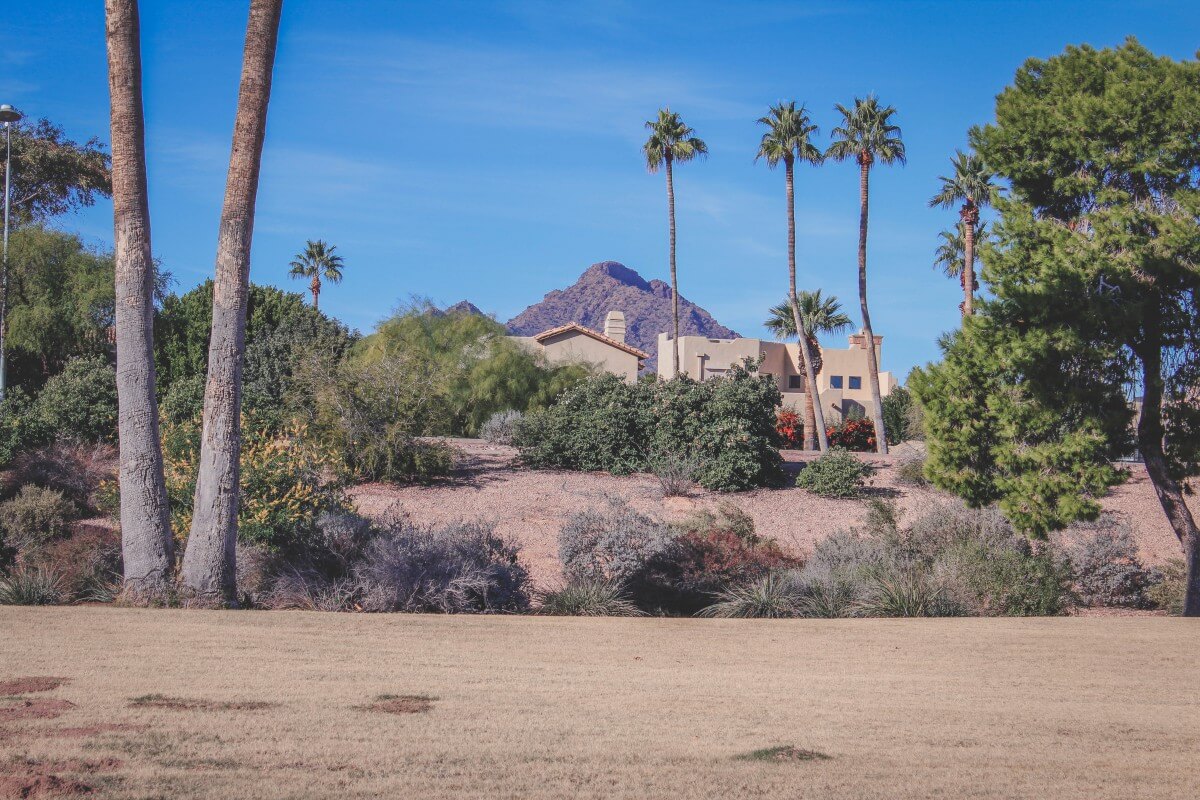 Camelback Mountain hidden behind homes and tall palm trees (like seriously though, how are the palm trees so tall). 