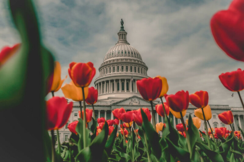 Best Time To Visit Washington DC (2025)