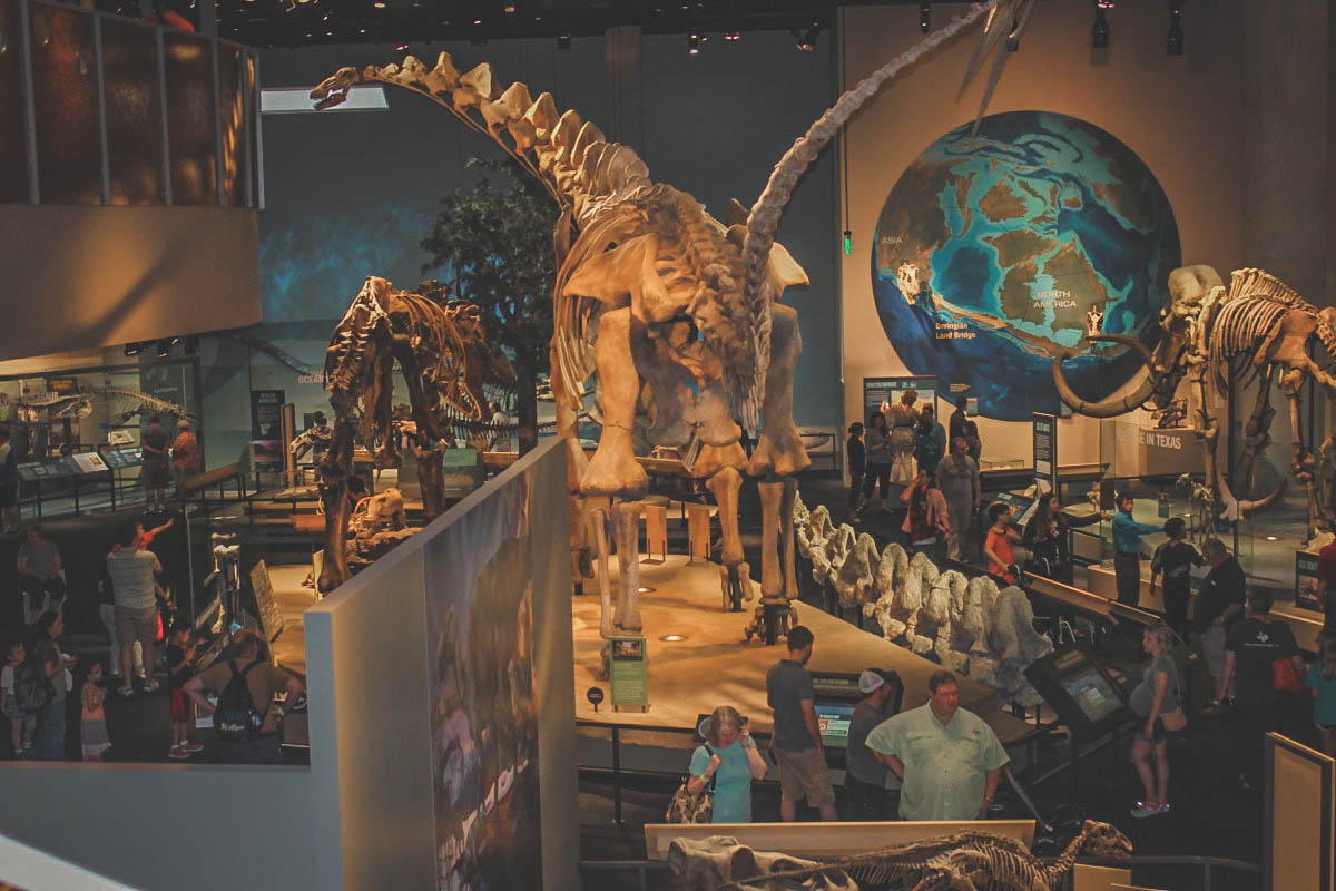 visiting the inside of the Perot Museum during my one day in Dallas