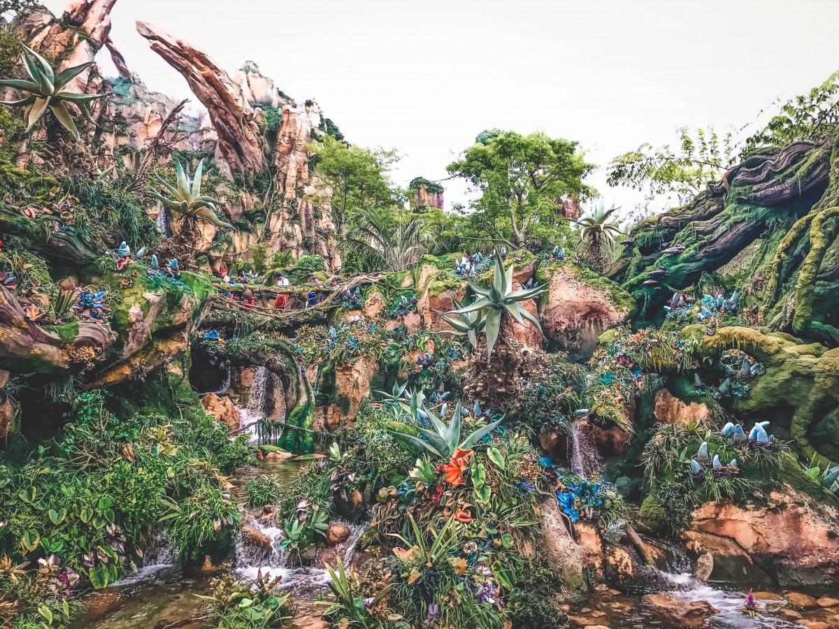One Day In Animal Kingdom Itinerary