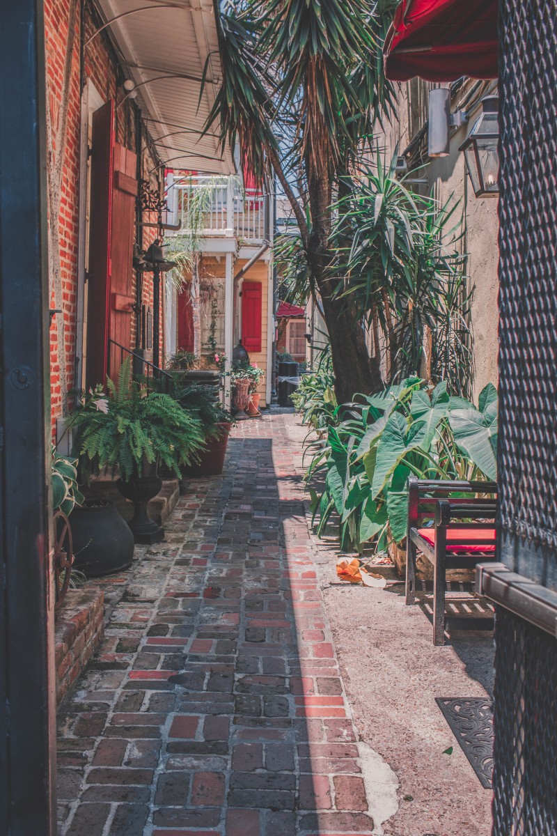 10 Atmospheric Books Set In New Orleans