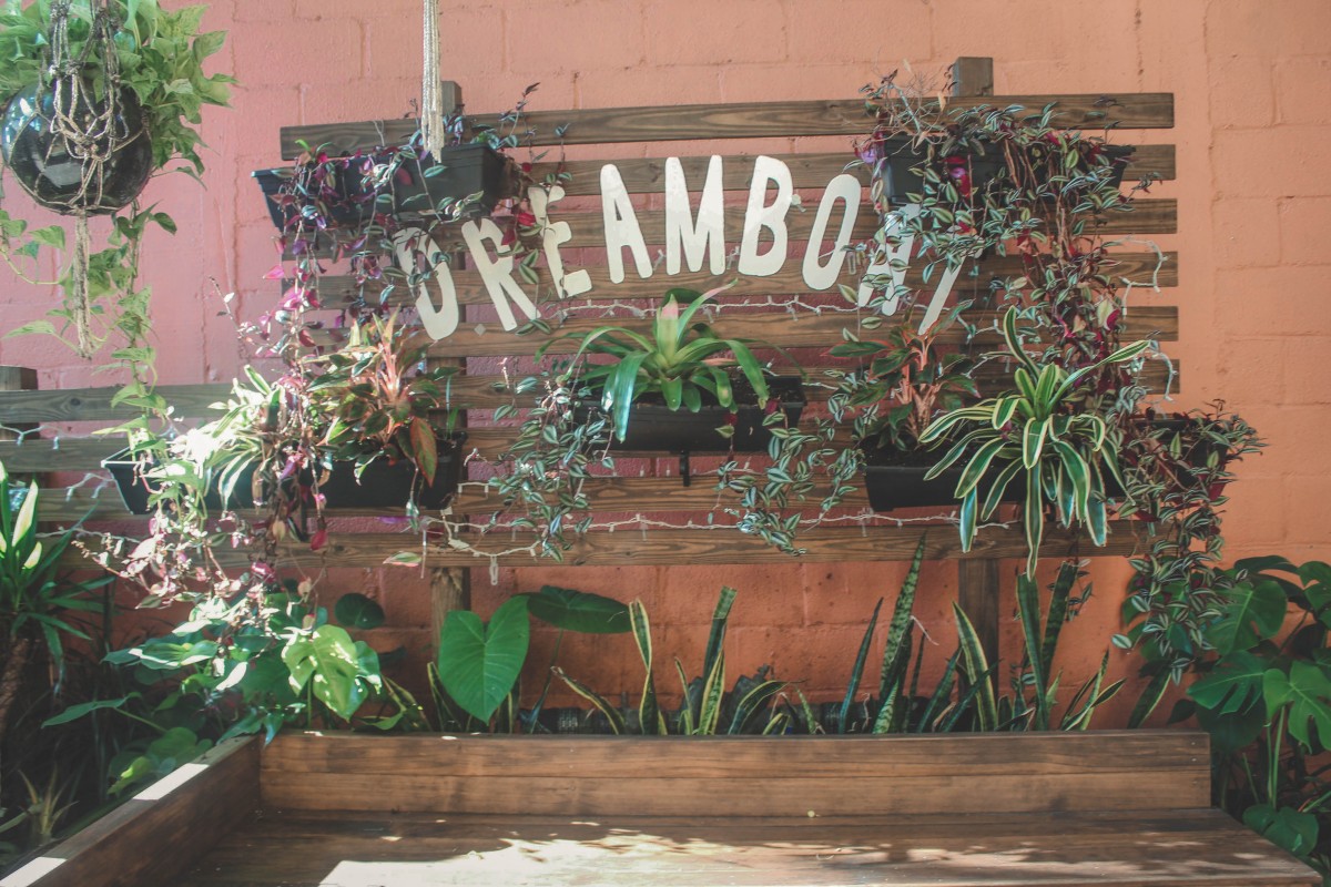 Coffee Shops In St. Augustine: Dream Boat