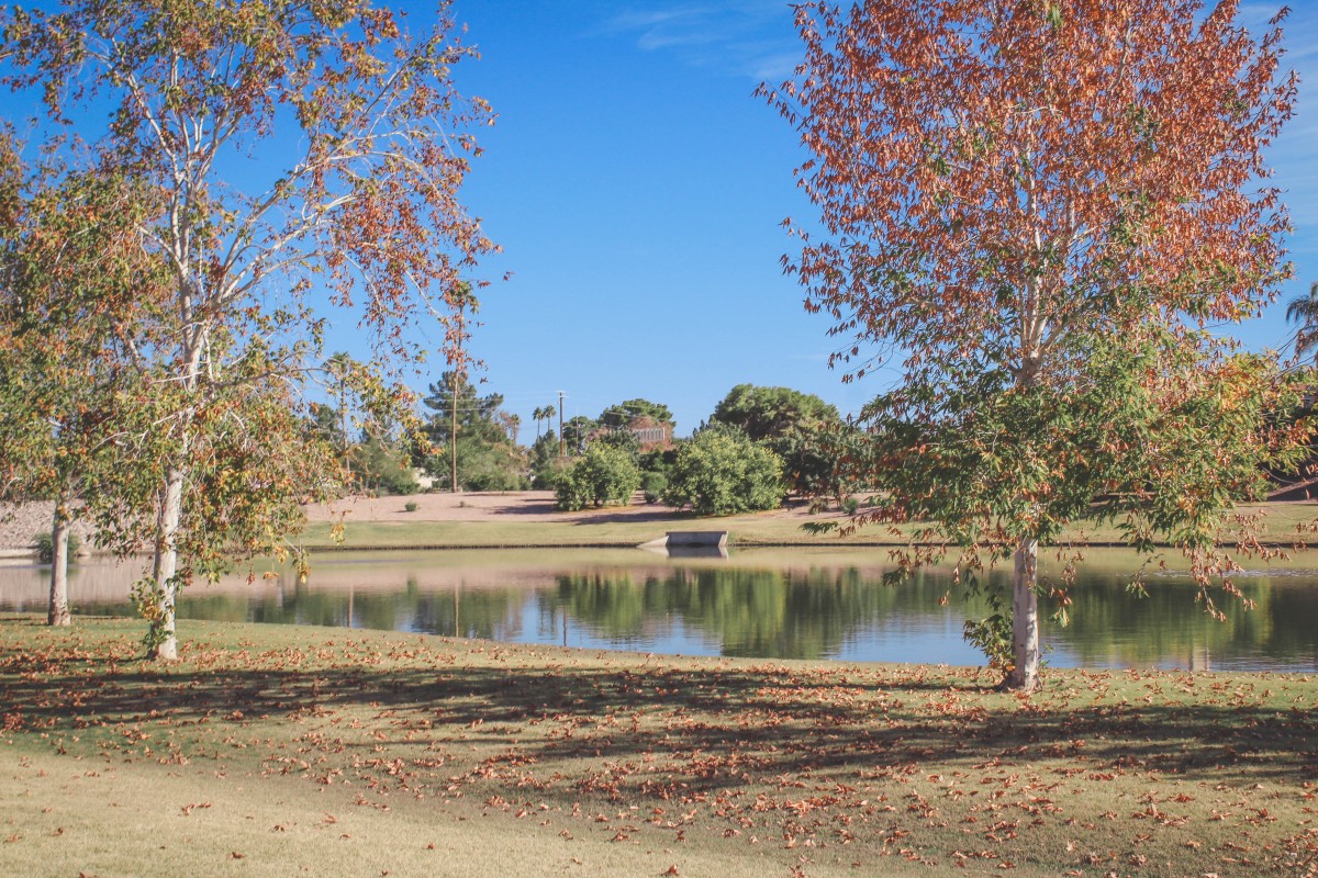 Photo of lake at Camelback Park, one of the best parks in Scottsdale, in December when the fall colors started to show