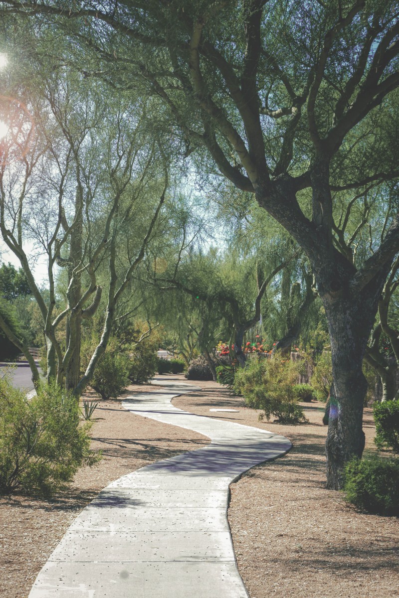 photo of a park in Scottsdale that might be Scottsdale Nature Area, not sure. I didn't have an image of this park so I dug up this photo on Unsplash. As memory serves, this looks similar to Scottsdale Nature Area. 