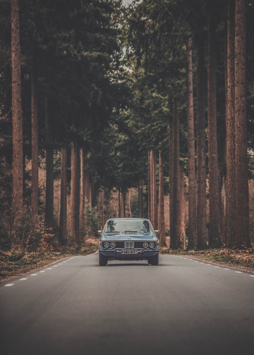 classic car on a forested road
