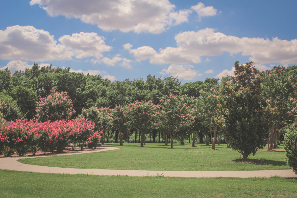 Best things to do in McKinney: McKinney is greener, big green paths and tall trees
