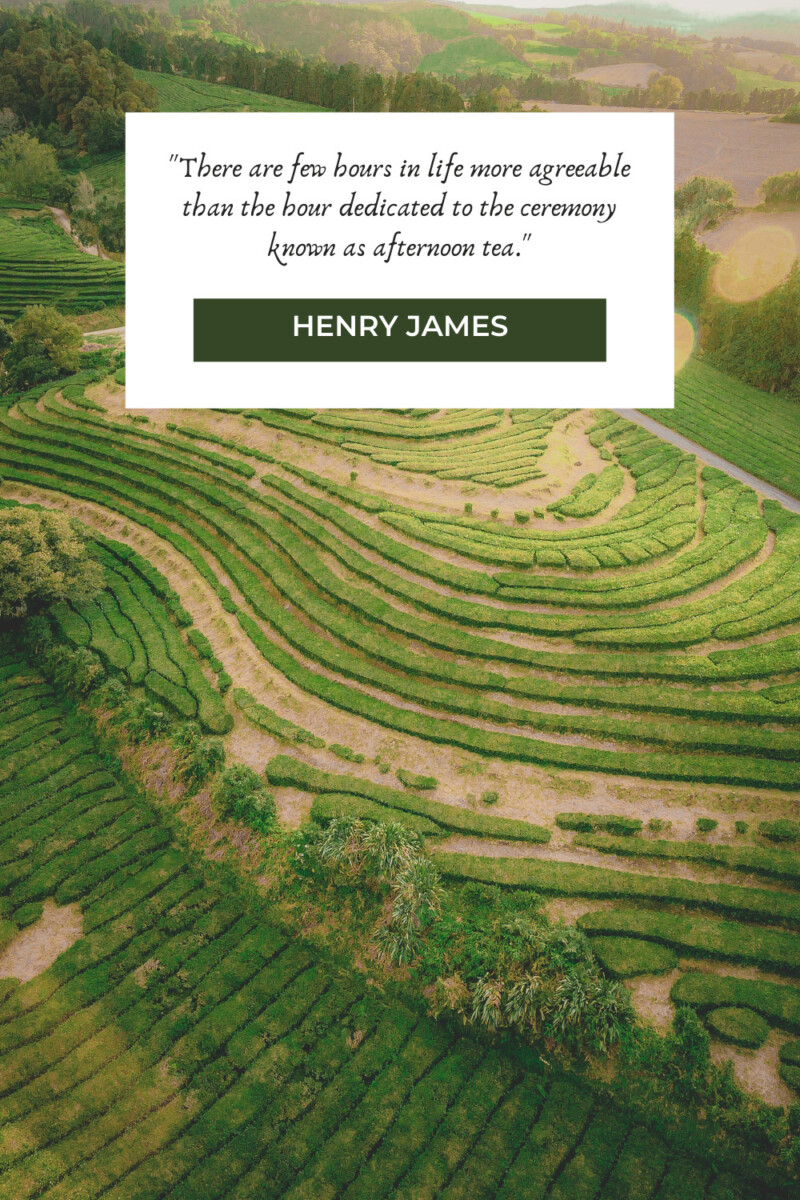 Henry James tea quotes
