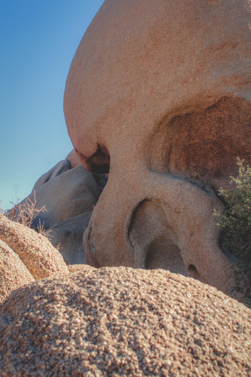 Skull Rock is hands-down the most popular tree hike. Here's a pic of why everyone visits. 