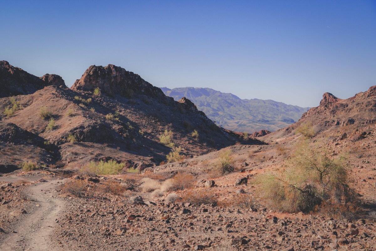 things to do in Lake Havasu: hiking right in SARA Park 