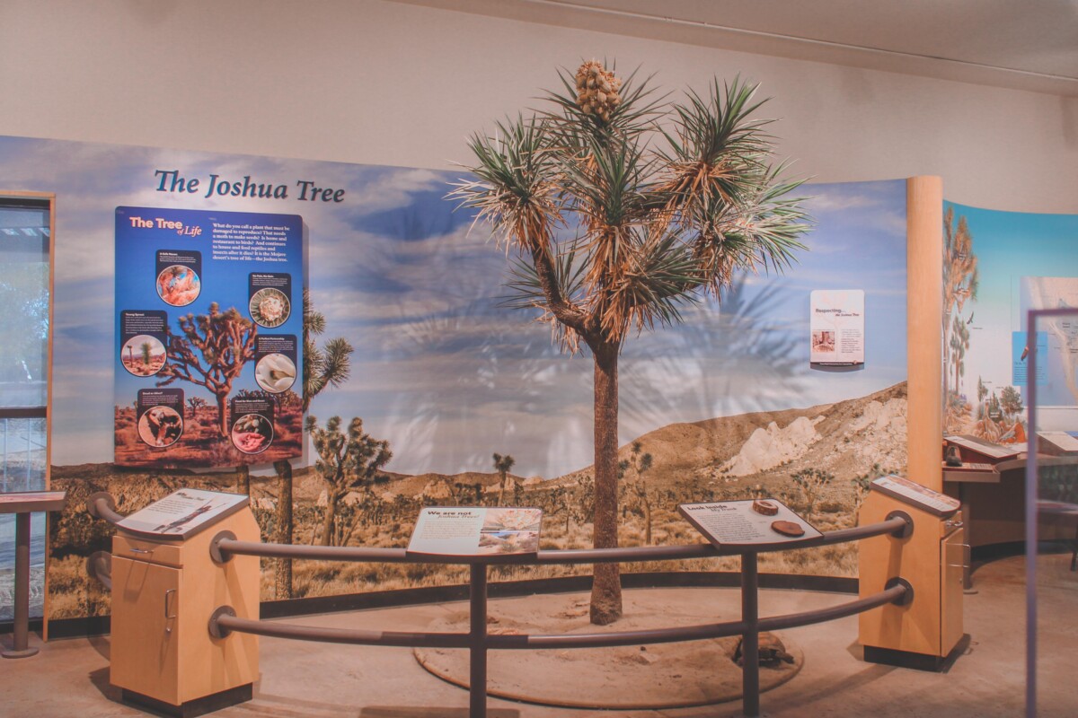 inside the Joshua Tree National Park visitor center