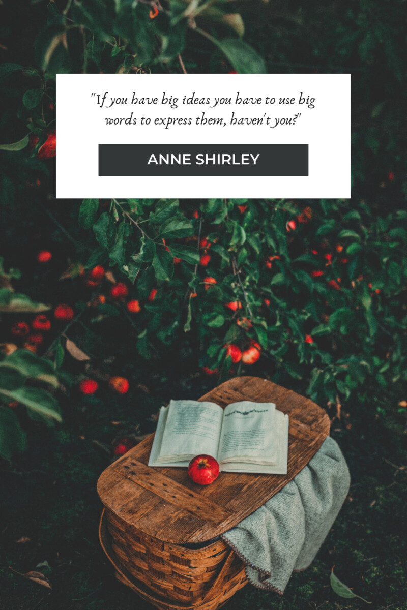 "If you have big ideas you have to use big words to express them, haven't you?" - Anne Shirley (pg. 22)