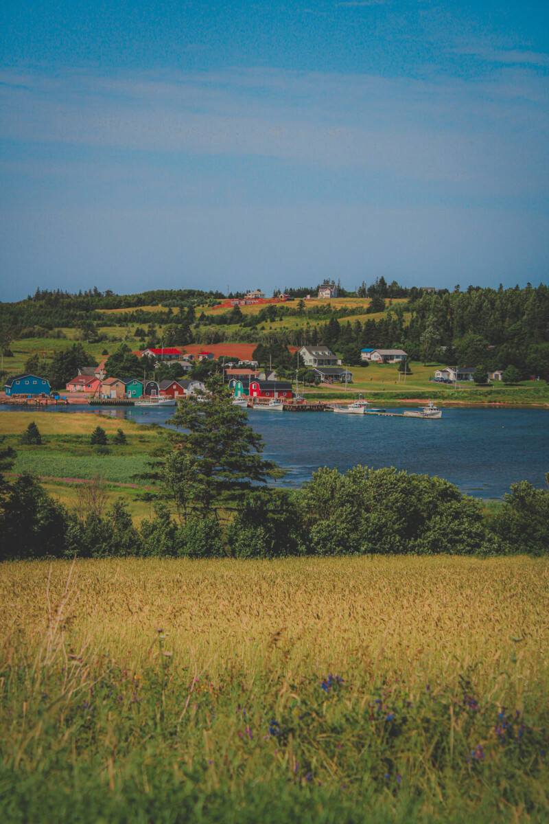 10 Anne Of Green Gables Discussion Questions For Your Book Club featured image