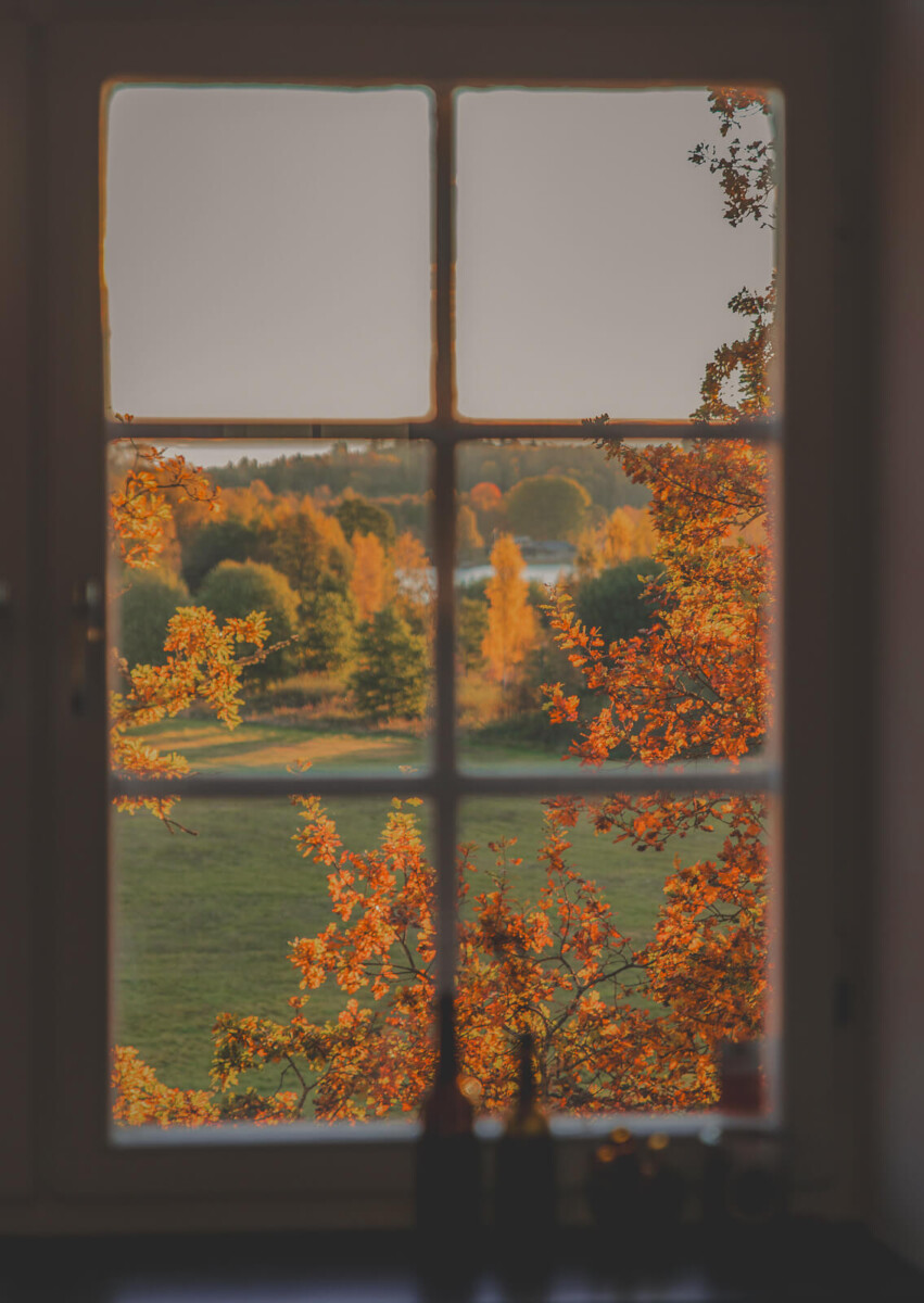 Anne Of Green Gables Quotes Featured Image