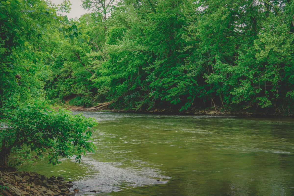 40 Best Things To Do In Nashville: Harpeth River State Park