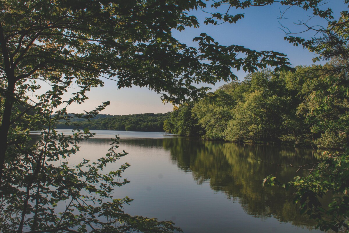 40 Best Things To Do In Nashville: Radnor Lake State Park