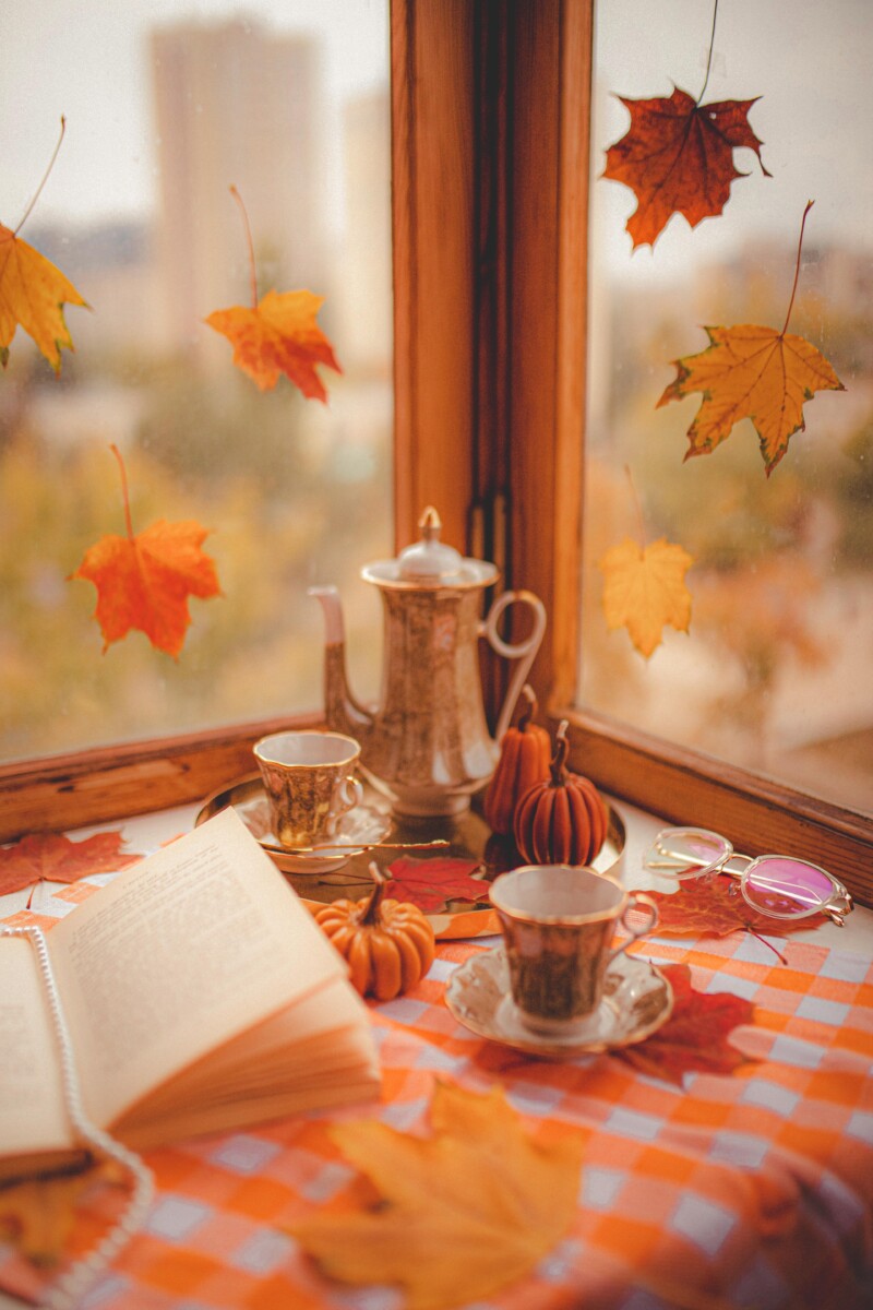 12 Atmospheric Autumn Books To Fall Right Into