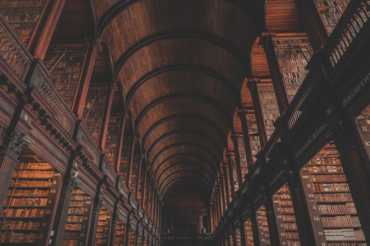Old Library Dark Academia