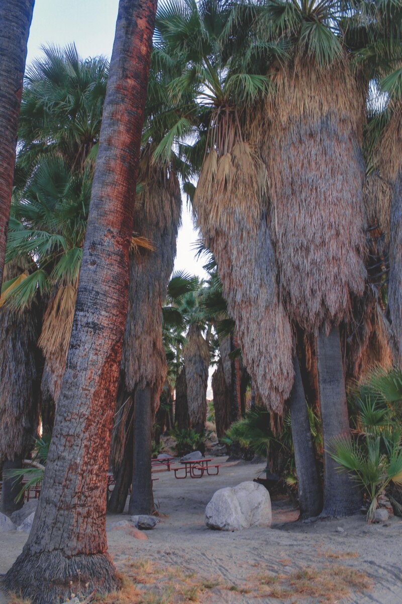 Is There A Real Life Pride Rock? Yes, Here's How You Can Visit