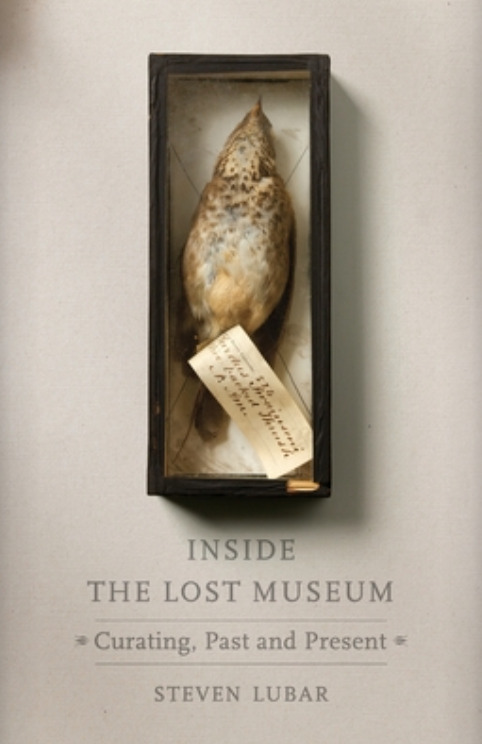 inside the lost museum