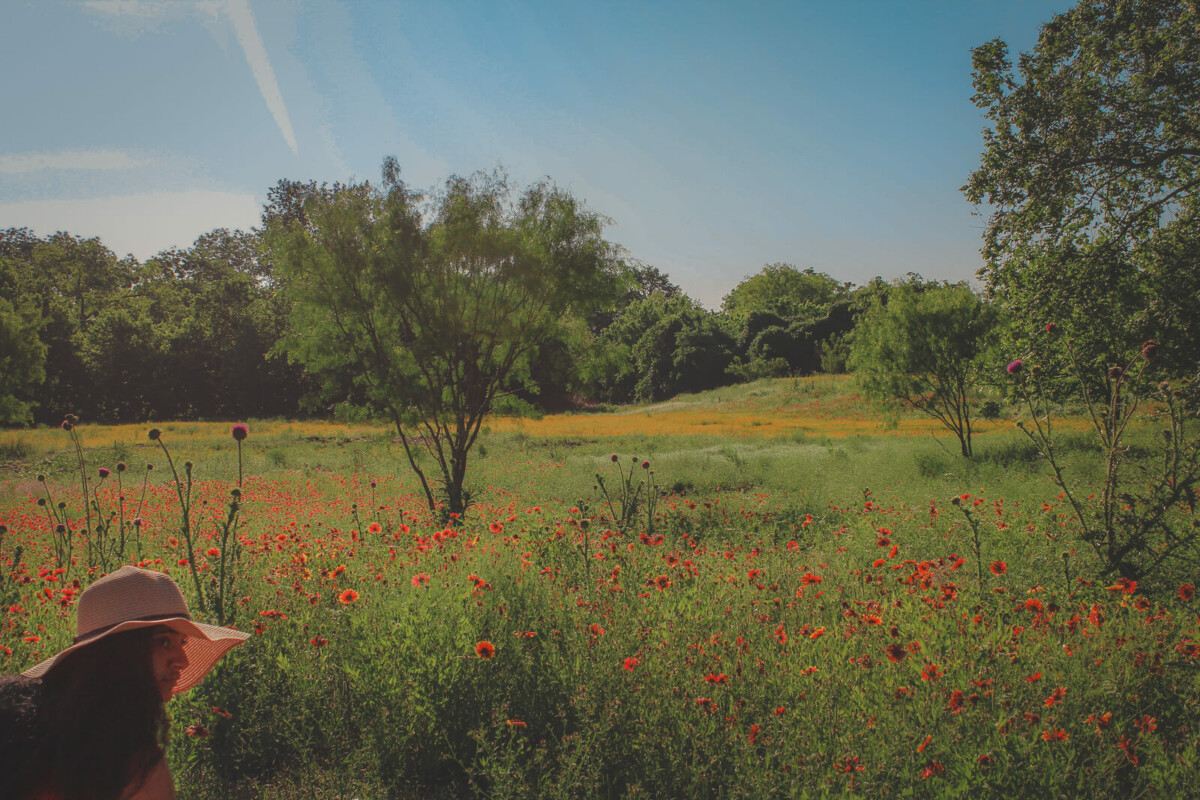 12 Cottagecore Towns To Visit And Places To See featured image