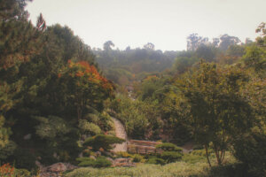 10 Best Balboa Park Museums Worth - BalboaParkMuseums JapaneseFriendshipGarden 300x200 