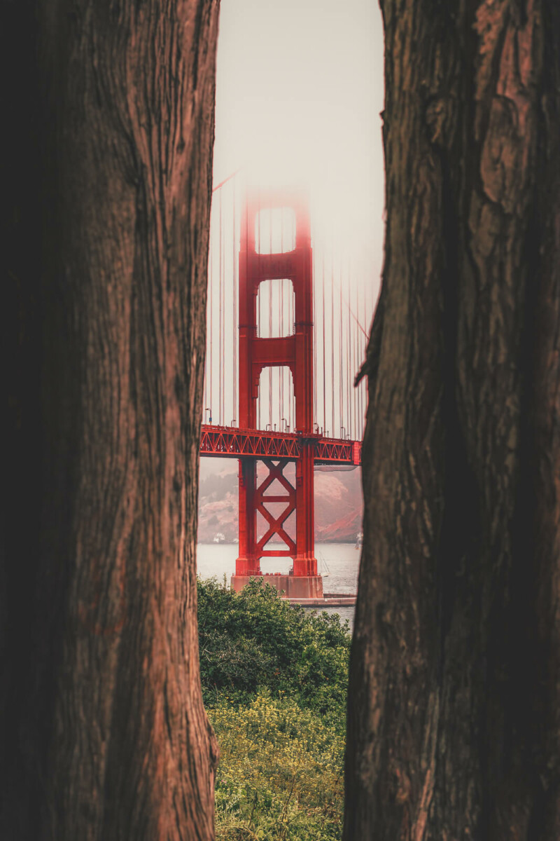 best time for visiting the Golden Gate Bridge to avoid fog
