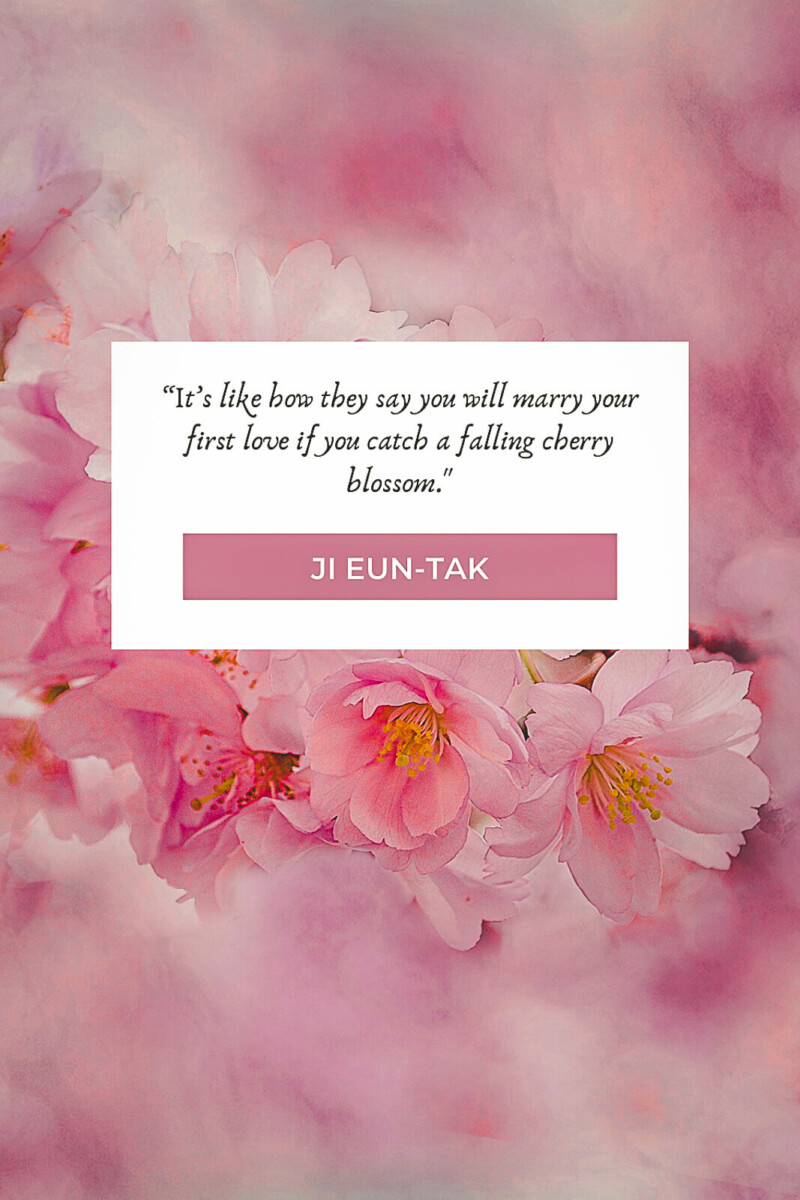 cherry blossom quotes about love