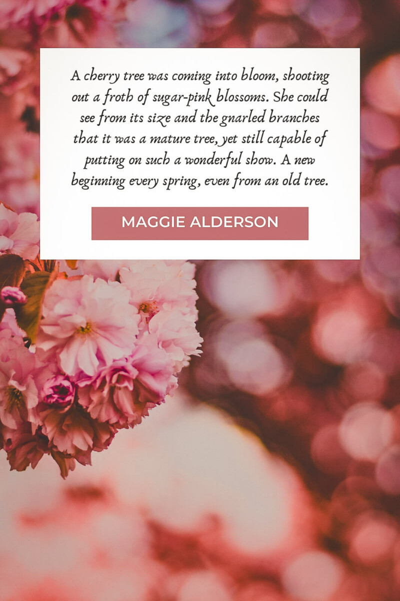 cherry blossom quotes about renewal and rebirth