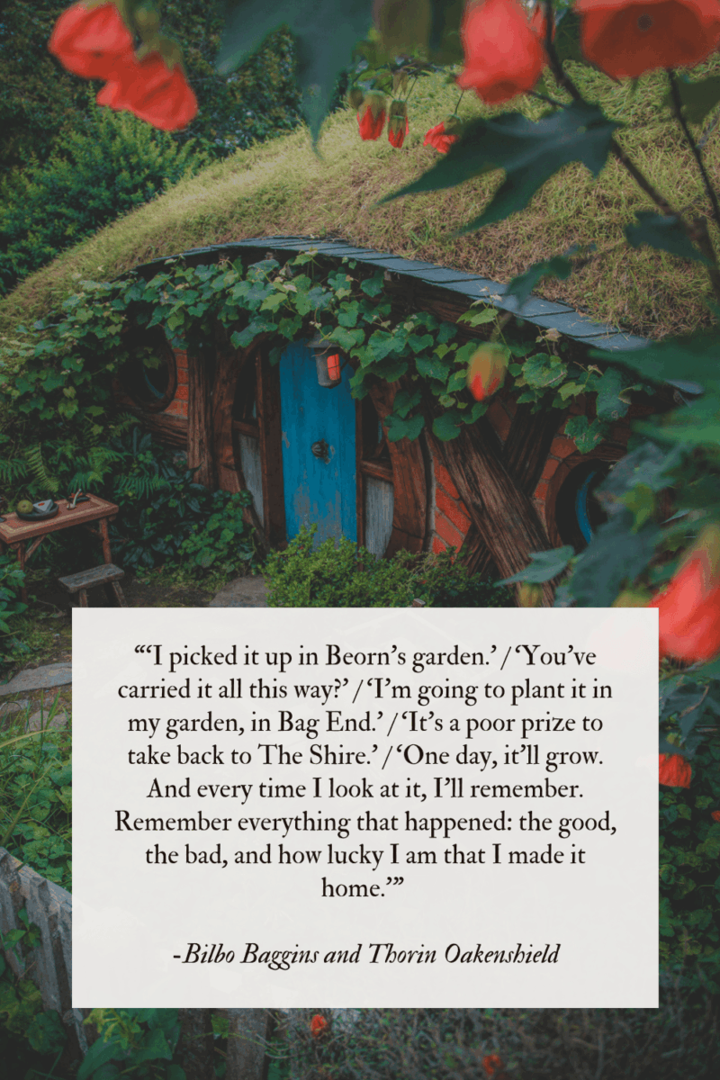 best lines from The Hobbit movie to inspire you
