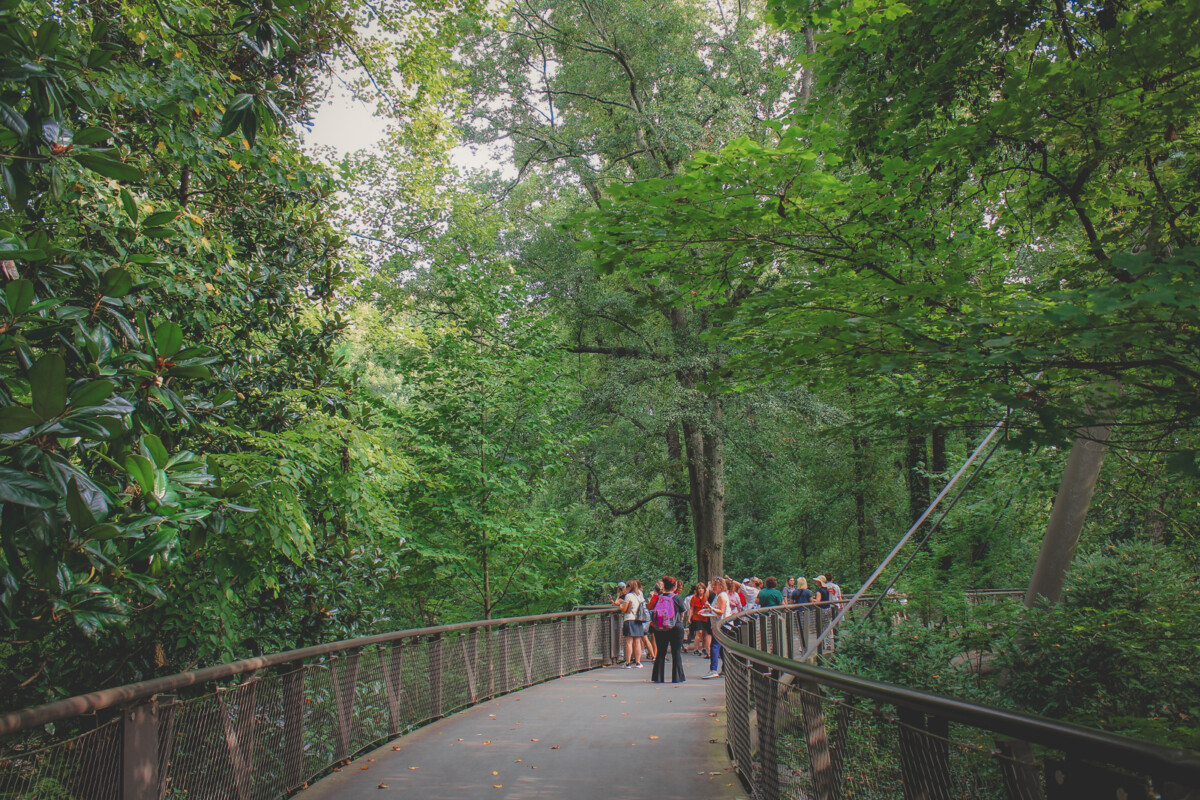 largest canopy walkway in the USA