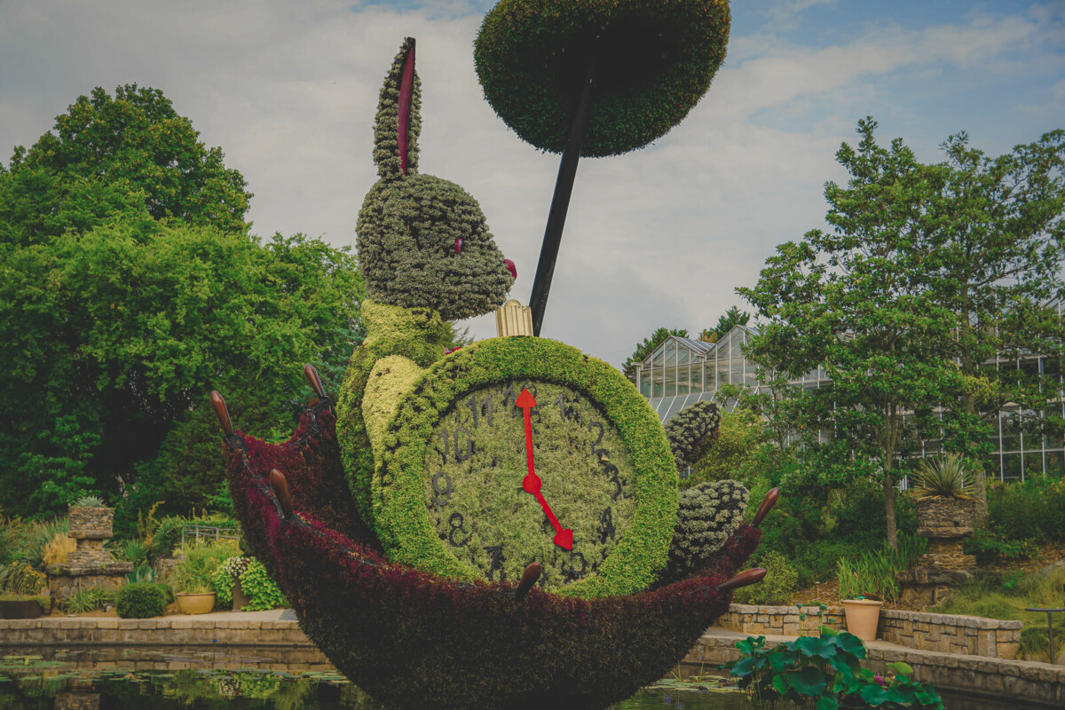 photo of Atlanta Botanical Garden Alice In Wonderland rabbit with clock mosaiculture to represent Atlanta Botanical Garden hours