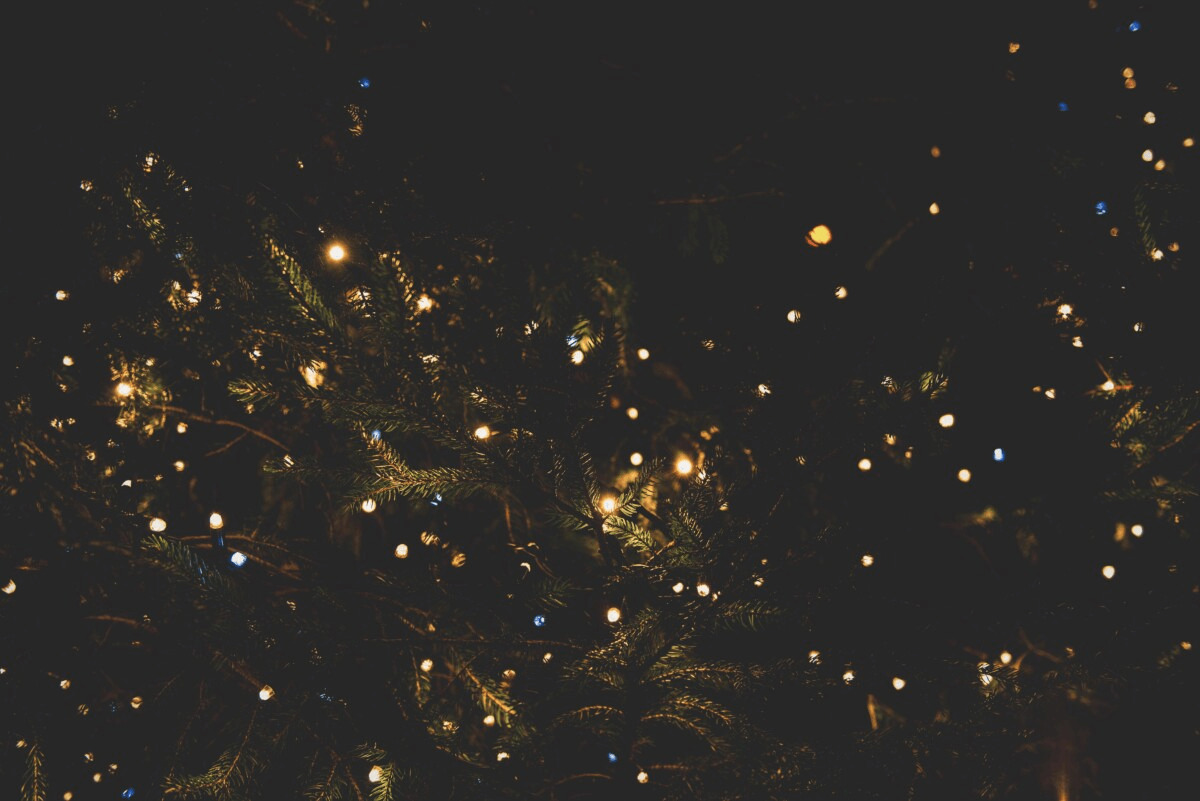 Filoli has an annual display of holiday lights