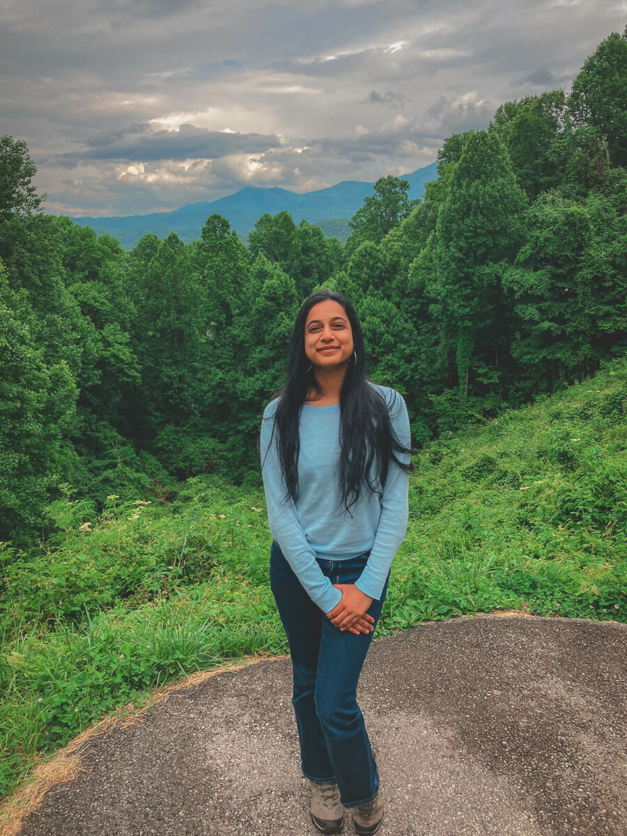 I moved to Tennessee, one of my favorite states in the US for its leafy hiking trails