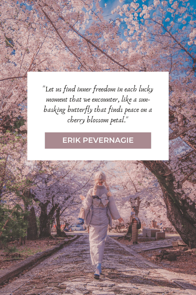 beautiful and inspirational quote about cherry blossoms