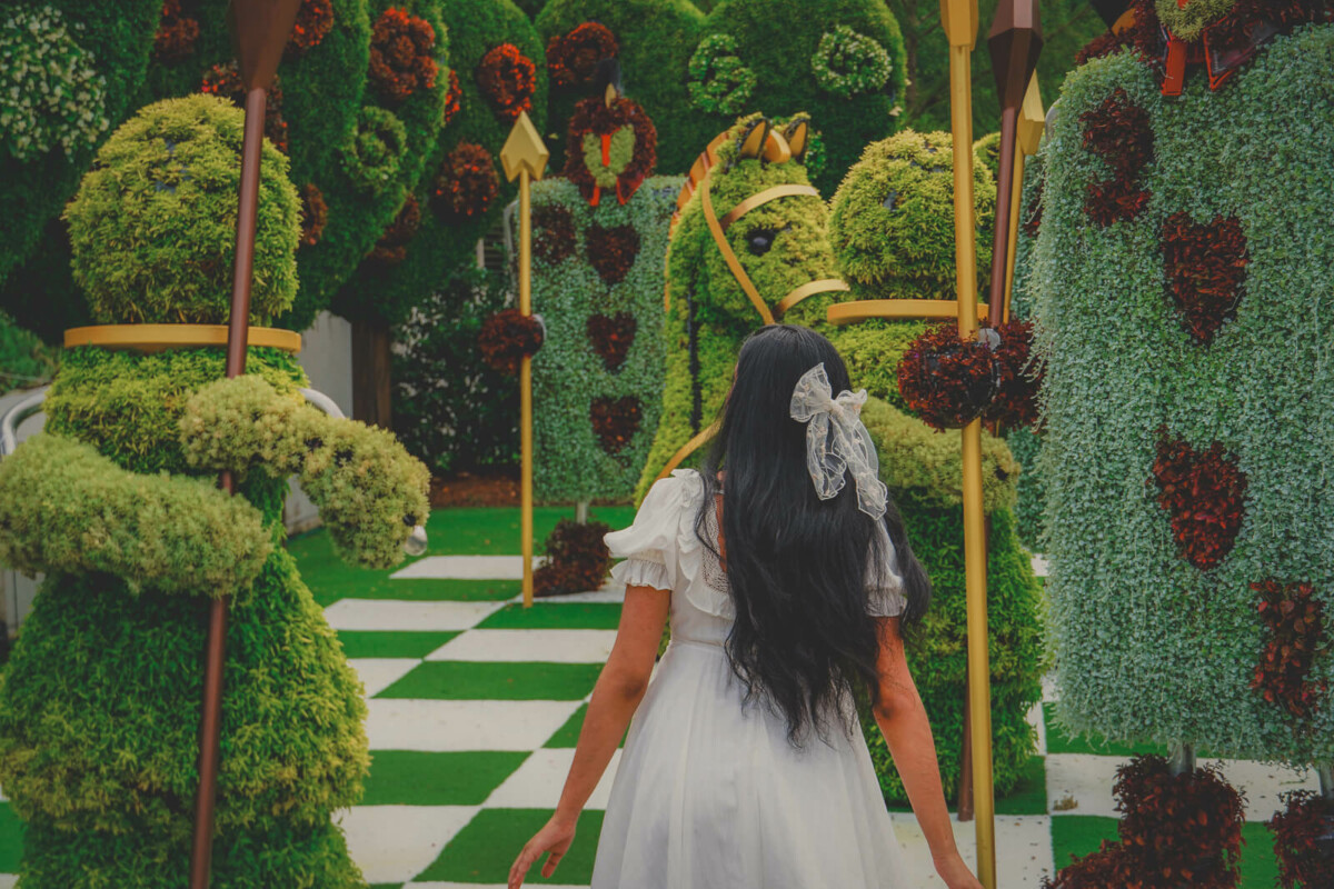 12 Cottagecore Books To Read featured image