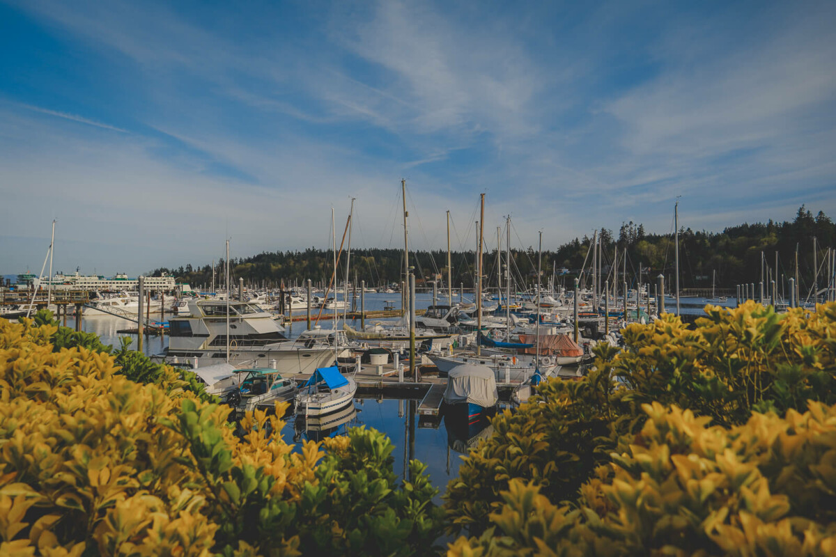 Day Trip Bainbridge Island featured image