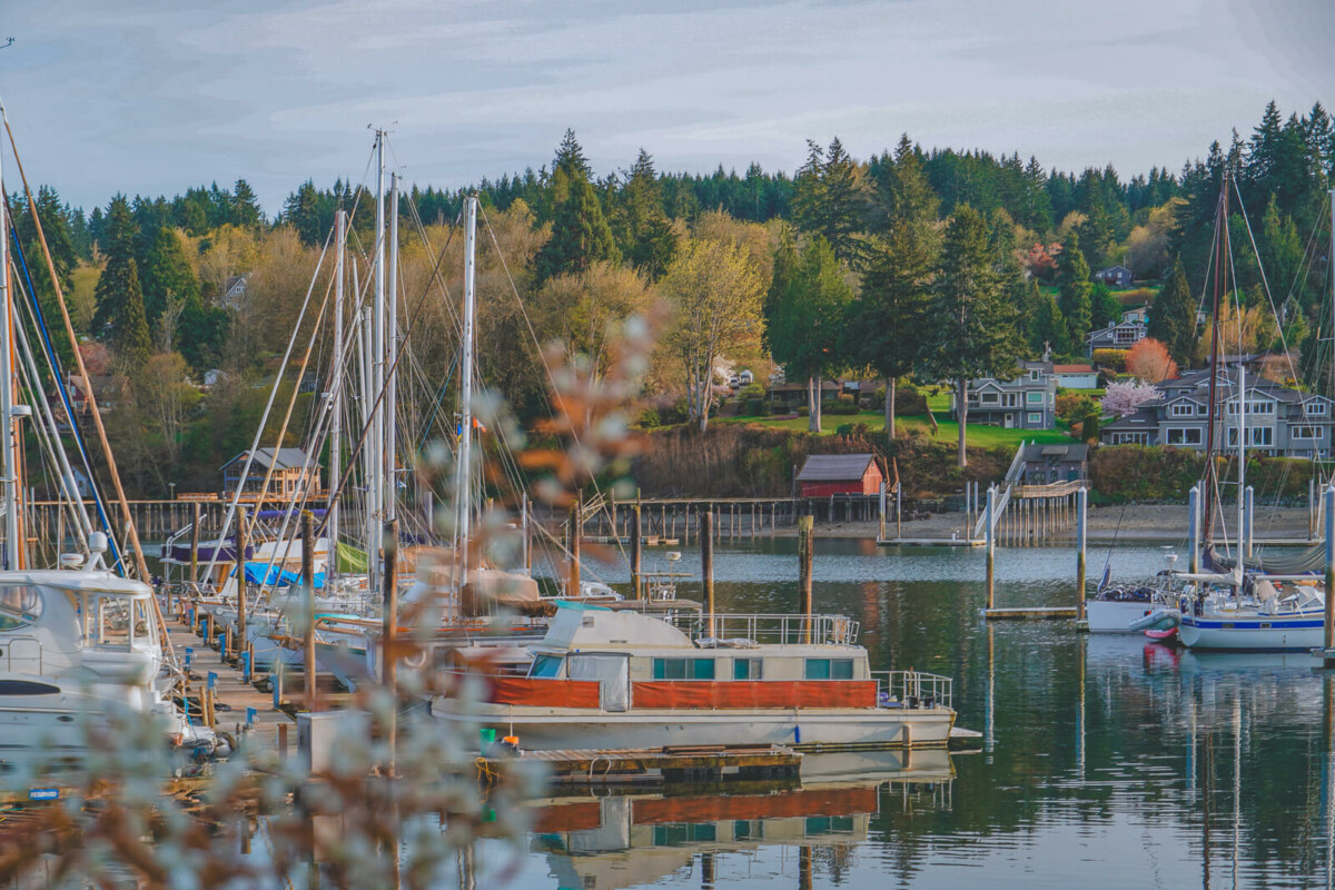photo of Bainbridge Island to represent the start of a Bainbridge Island visitor's guide